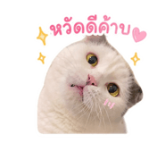 863144921