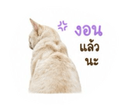 863145484