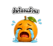 863146068