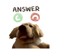 863147018