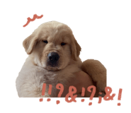 863147027
