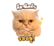863148882