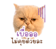 863148885