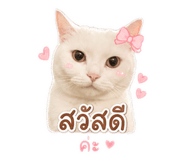 863148889