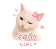 863148891