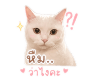863148892