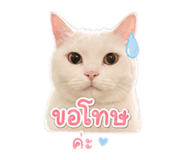 863148893