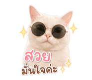 863148894