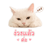 863148895