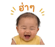 863150648