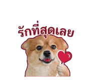 863150654