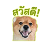 863150655