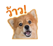 863150656