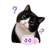 863151213