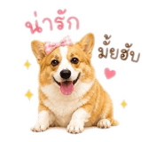 863151443