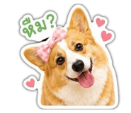 863151444