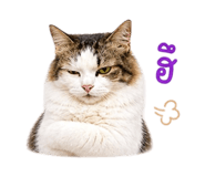 863152888
