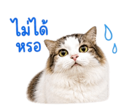 863152889