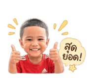 863153068