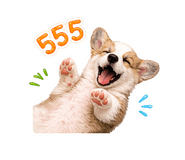 863153603