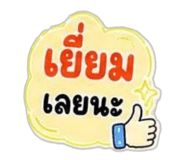 863155293