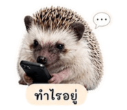 863155862