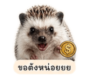 863155864
