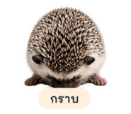 863155869