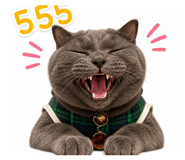 863156675