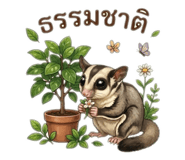 863159524