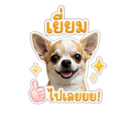 863160972