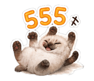 863162302