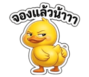 863163746