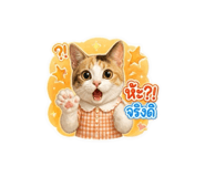 863164006