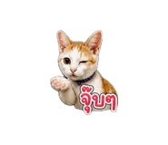 863164019