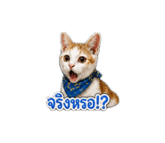 863164024