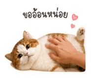 863168138