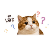 863168144