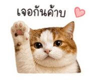 863168152