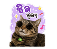 863170706