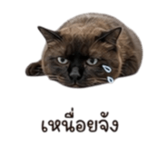 863171928
