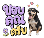 863179787