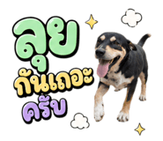 863179789