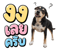 863179791