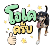 863179796
