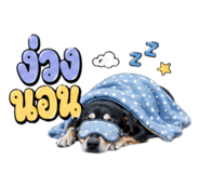 863179817