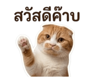 863182833