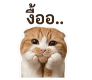 863182838
