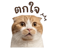 863182844