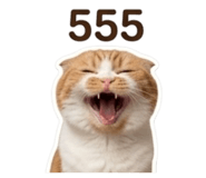 863182846
